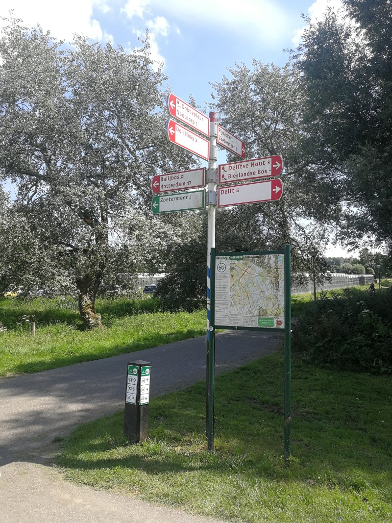 In de omgeving